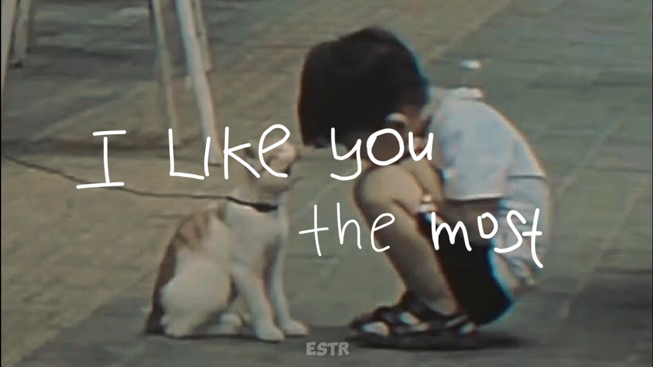 I like you the most - Ponchet ft Virinz | Cover by SHAD (English Version) | Lyrics | Estr