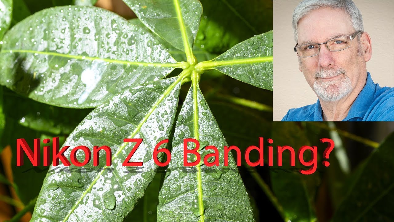 Nikon Z 6 mirrorless: Banding?