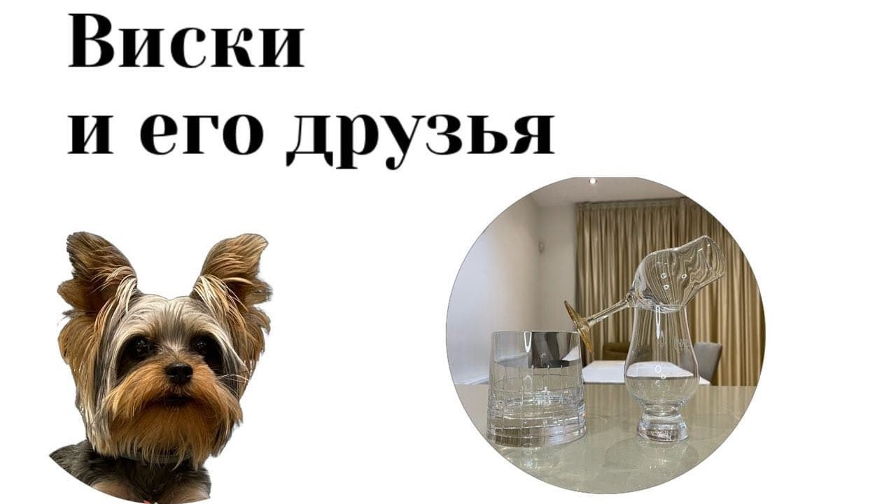 Выбор бокала для виски