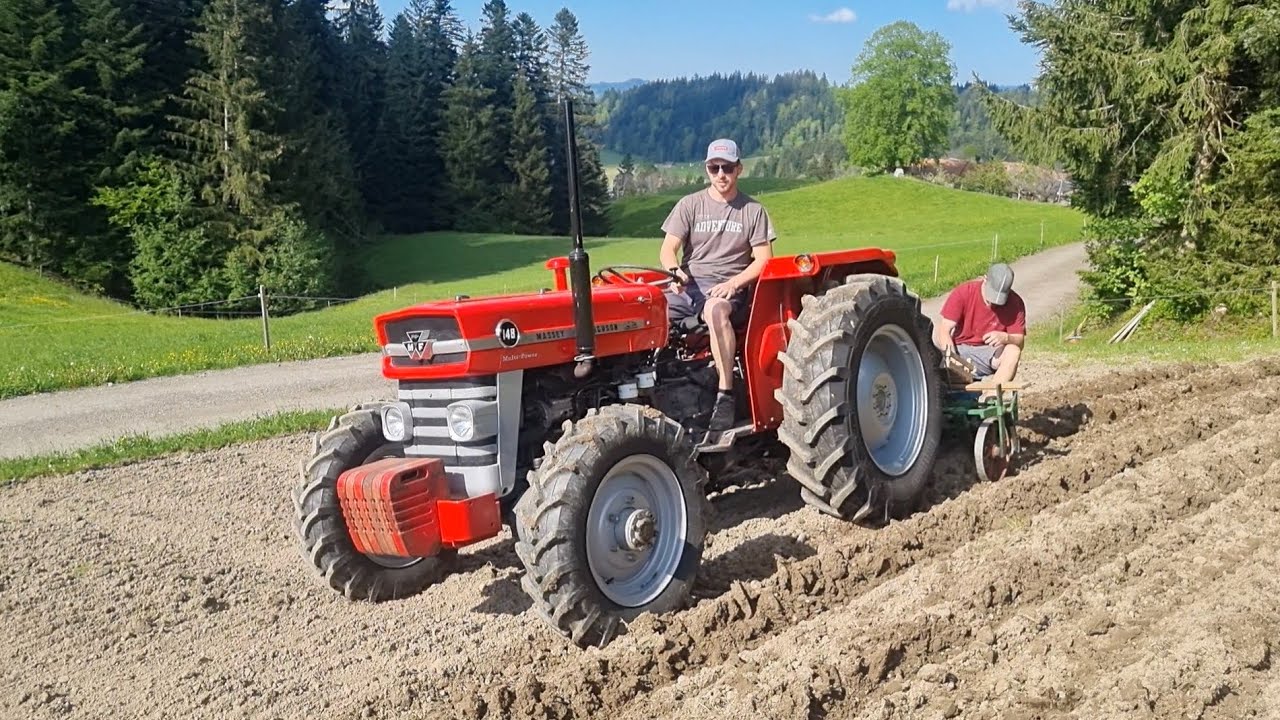 Massey Ferguson MF 148 Kartoffel pflanzen 
