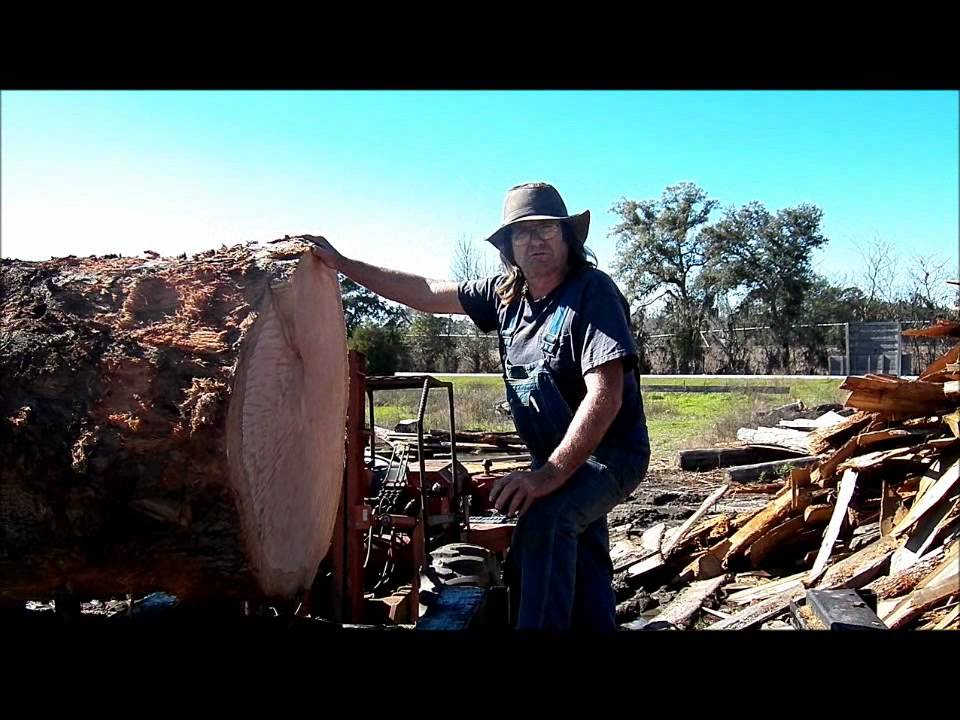 LIVE OAK FUTTOCK PIECES FOR GALLEON SAN SALVADOR