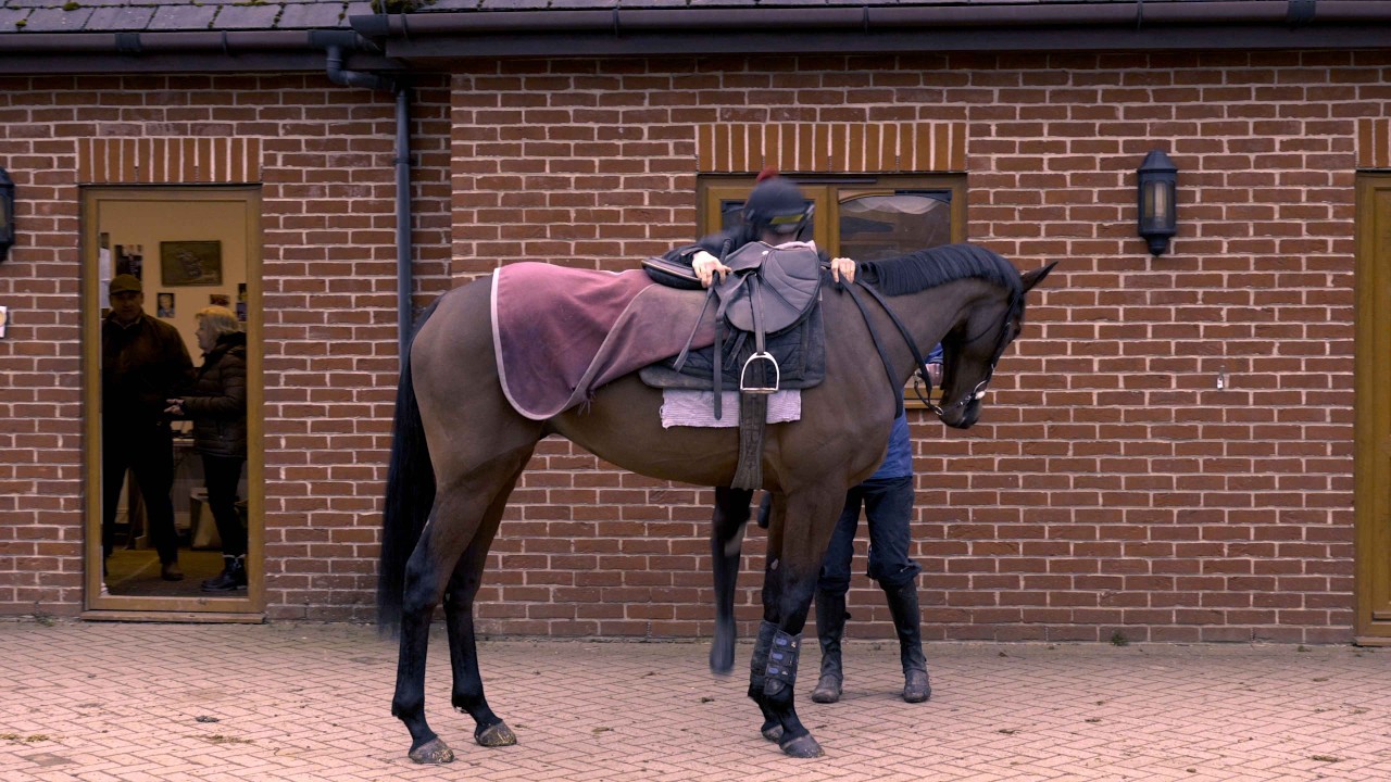The Story of Salver | Star Sports National Spirit Hurdle Hopeful | Exclusive Documentary