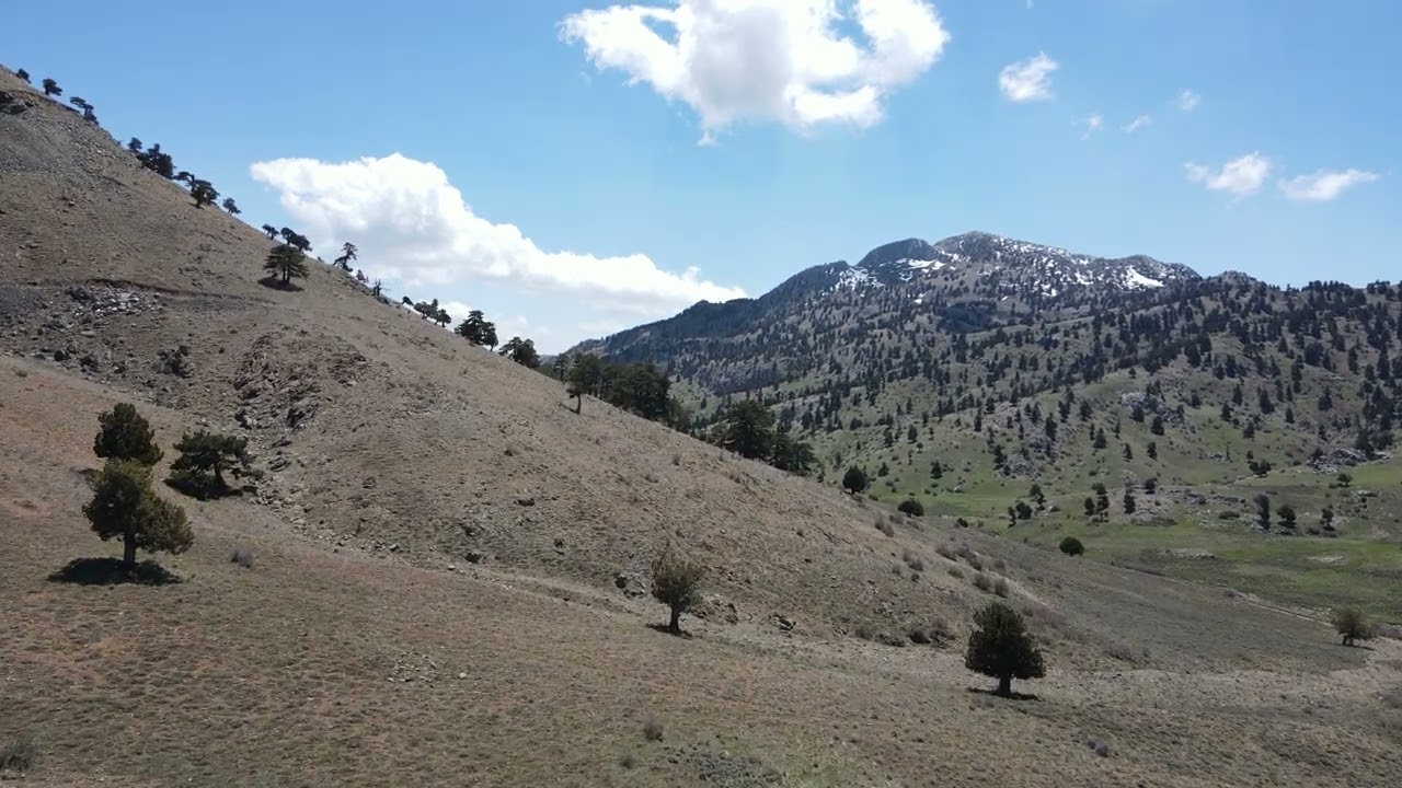 EŞELER YAYLASI