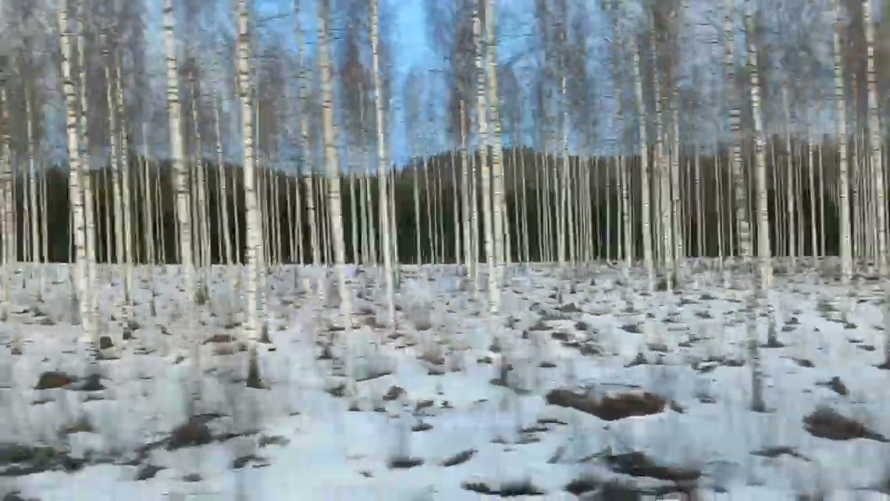 Voyage en train dans la campagne Finlandaise