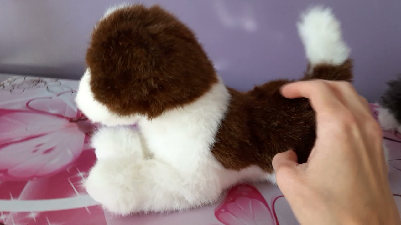Unboxing Maynard the St. Bernard Plush Puppy Dog by Douglas Cuddle Toys 🐶