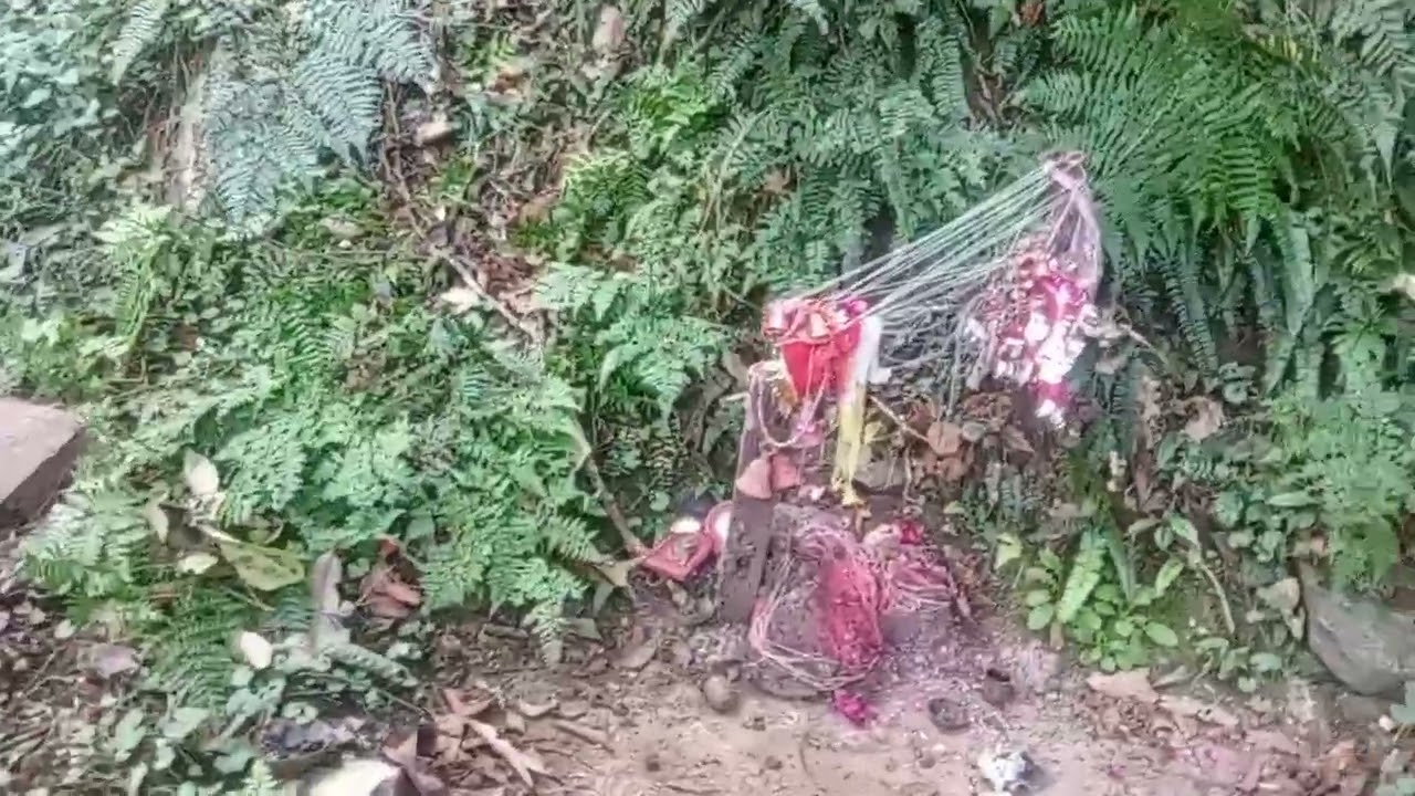 सत्ये लुकियो हिमली कुन कलि चालेछ पैसा र सुन मा 