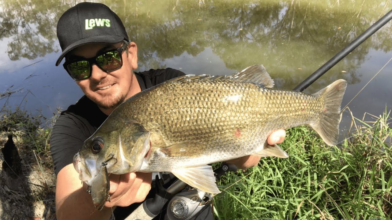 SUBURBAN BASS FISHING | In The Middle Of Logan City.