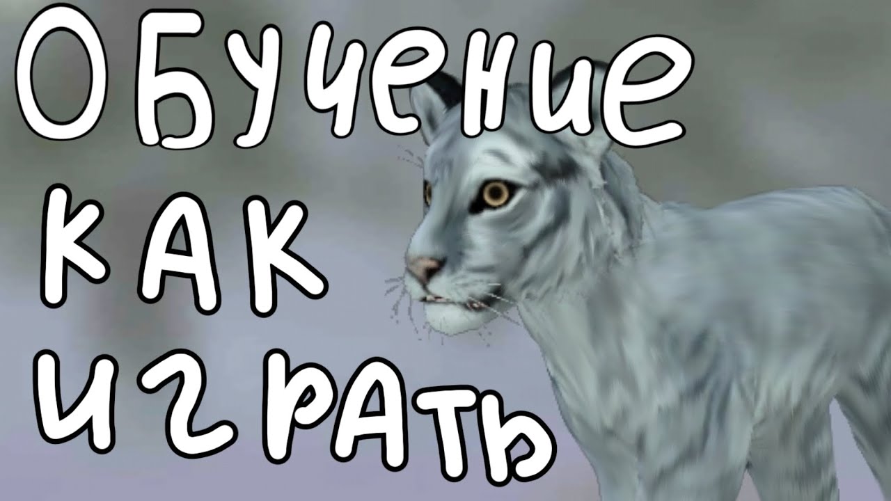 Обучение как играть в WildCraft (для новичков)