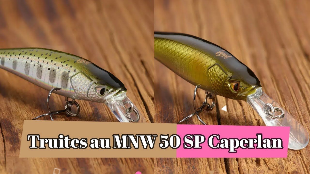 Session aux MNW 50 SP de chez CAPERLAN