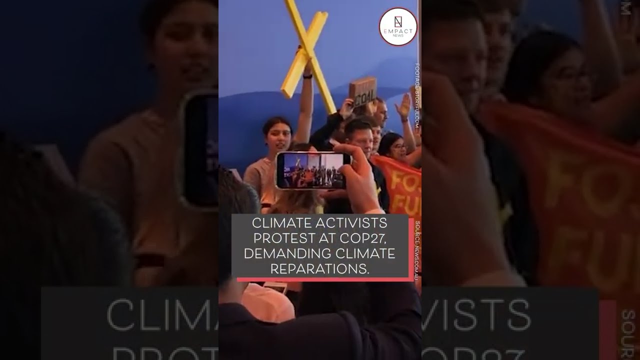 COP27 Has Been Met with Fierce Protests from Climate Activists