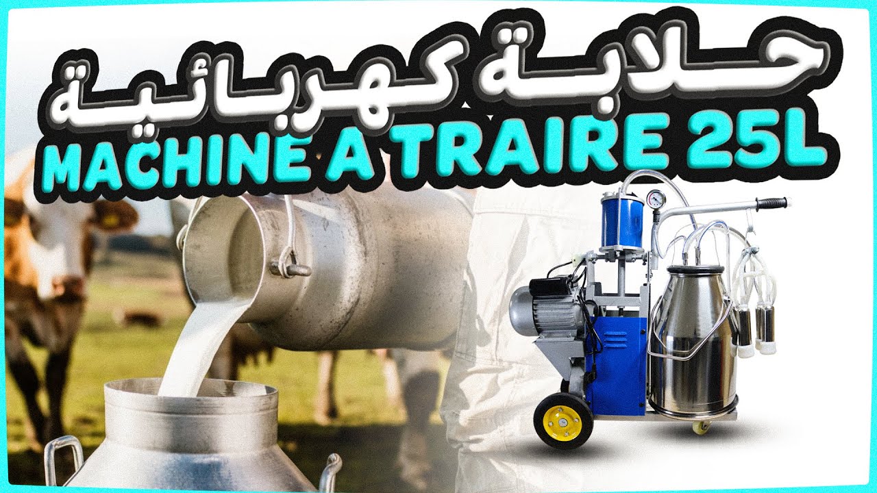 Machine a traire 25L pour vache
