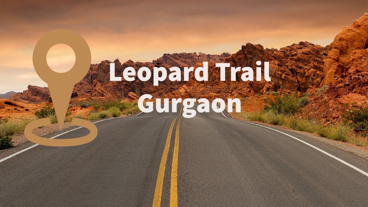 Leopard Trail Gurgaon Aravali Hills.