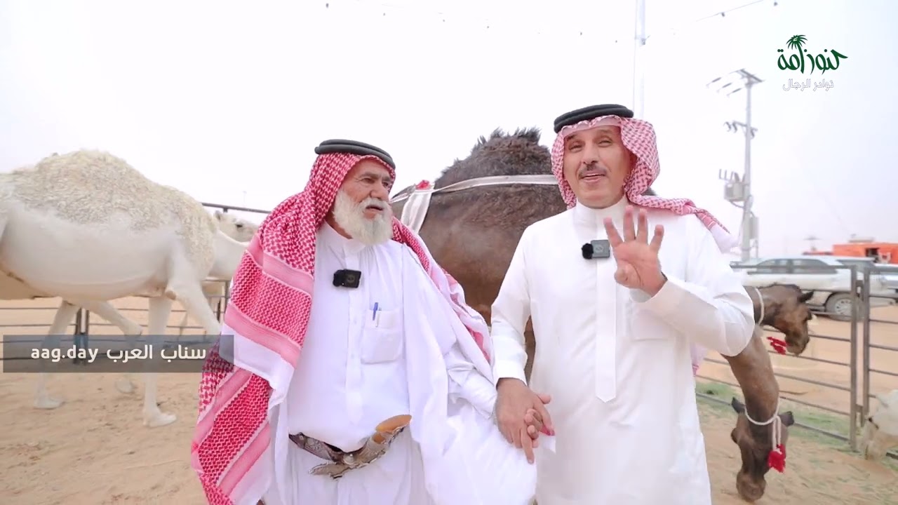 يعيش في الصحراء أربعة أشهر بدون ماء فهد العرجاني
