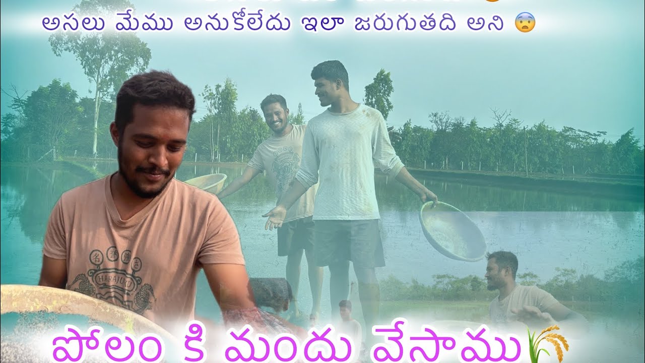 మేము ఒకటి అనుకుంటే ఇంకోటి జరిగింది🥲😱#explorepage #vlog#bannuchinnuvlogs#agriculture#trendingvideos 