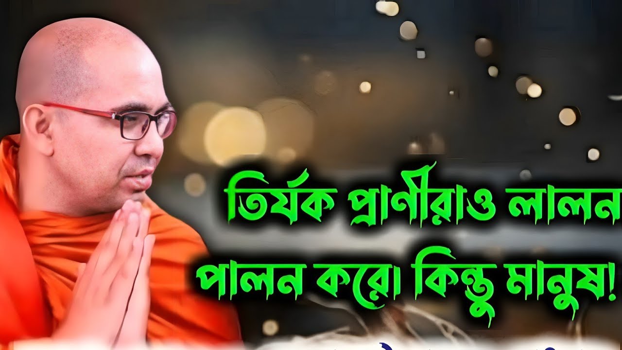 Dhamma desona by Mettabongsha Mohatero Bhante 2023 || cht dhamma