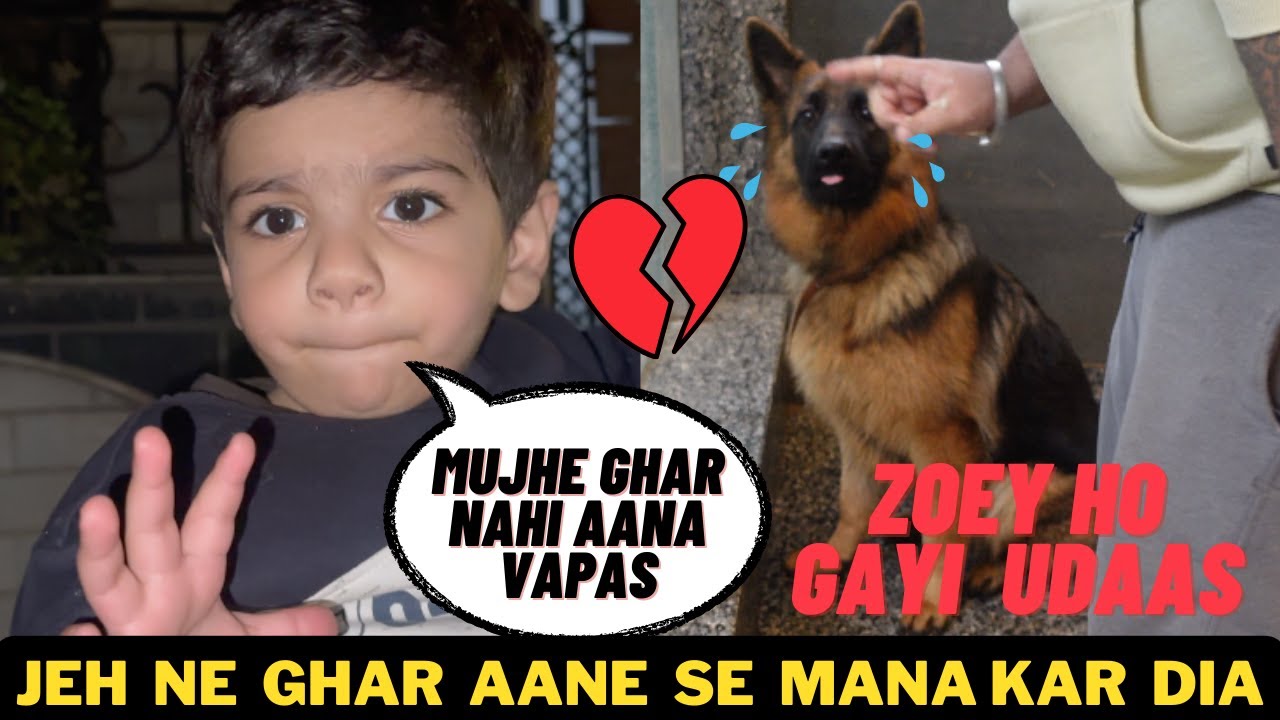 Jeh Ne Zoey Ke Paas Vapas Ghar Aane Se Mana Kar Diya: Jeh Nani Ke Ghar Se Vapas Nahi Aana Chahta