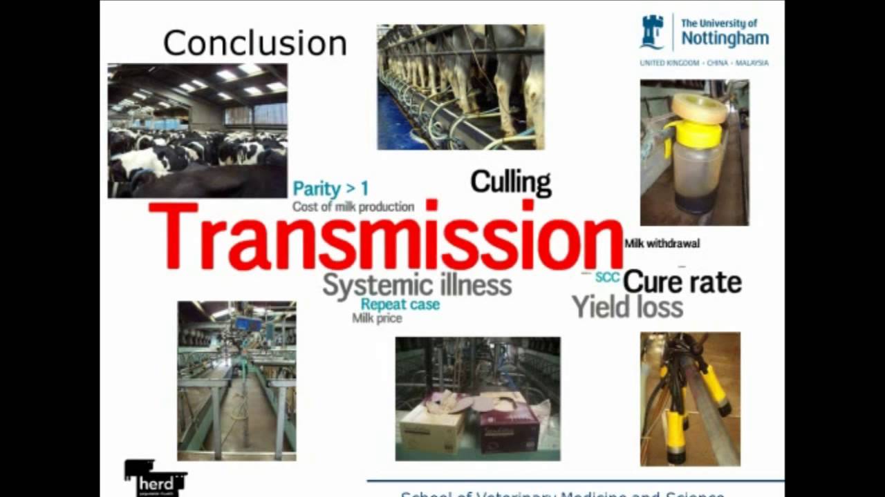 Decision making for UK mastitis control scheme - brought to you by AHDB Dairy