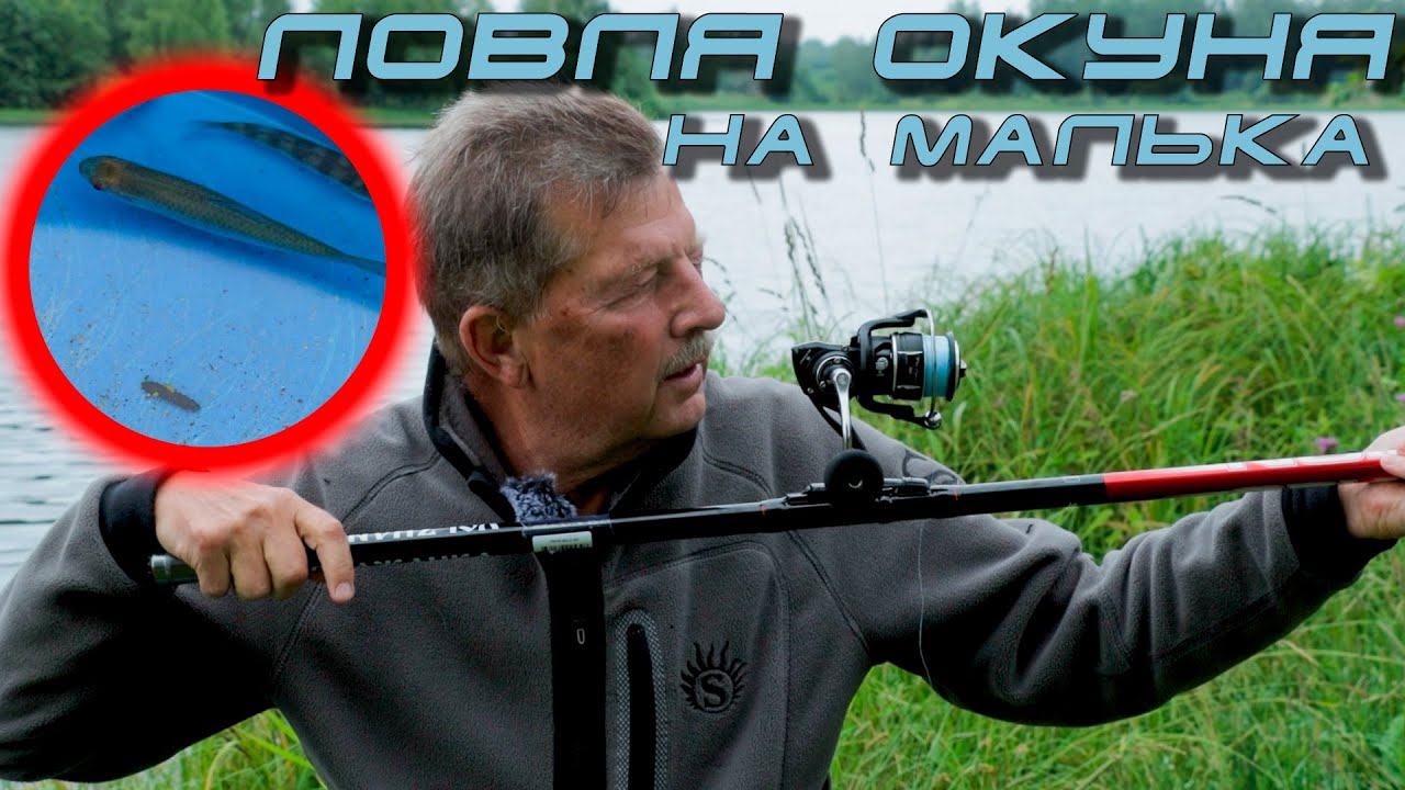 Ловля окуня на малька