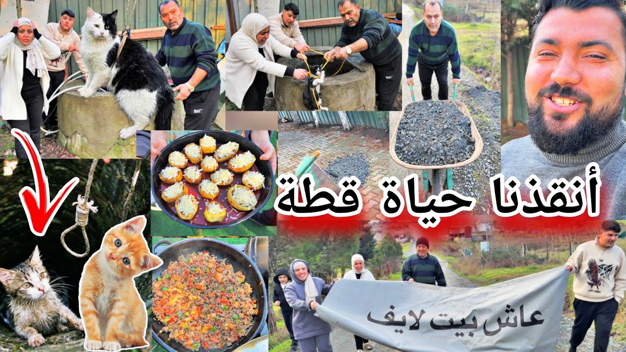 أنقذنا حياة القطة وقعت في البير😭// طبخنا قوارب بطاطا😋//