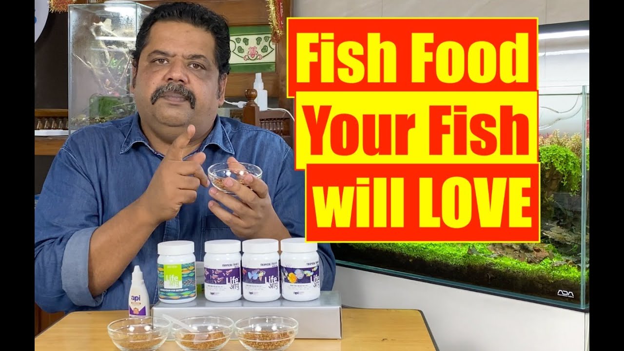 Your Fish's Favourite Aquarium Fish food | Best Planted Aquarium Fish Food | Mayur Dev Aquascaper 4K