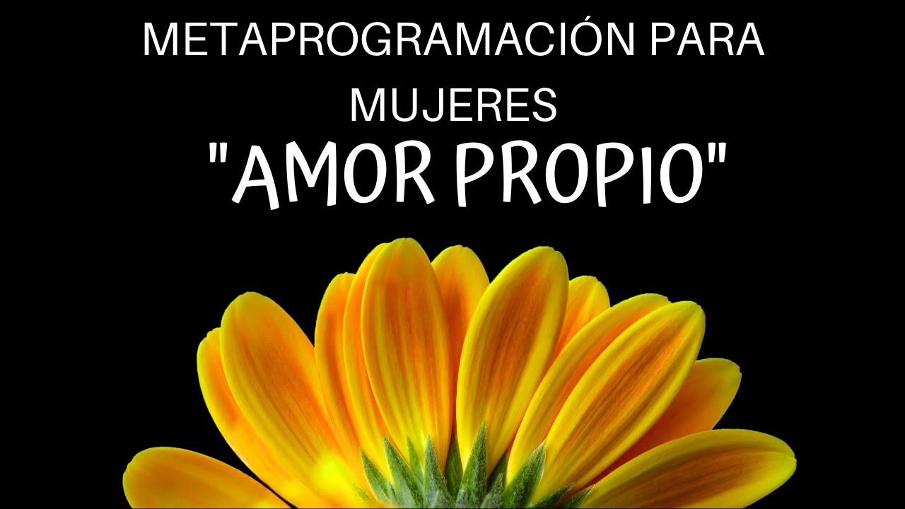 Metaprogramación para Mujeres - AMOR PROPIO