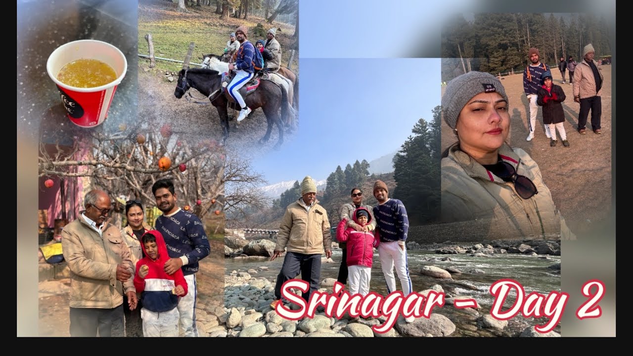 Srinagar to Pahalgam Journey Along With Visit to Aaru, Betaab and Baisaran Valley (Mini Switzerland)
