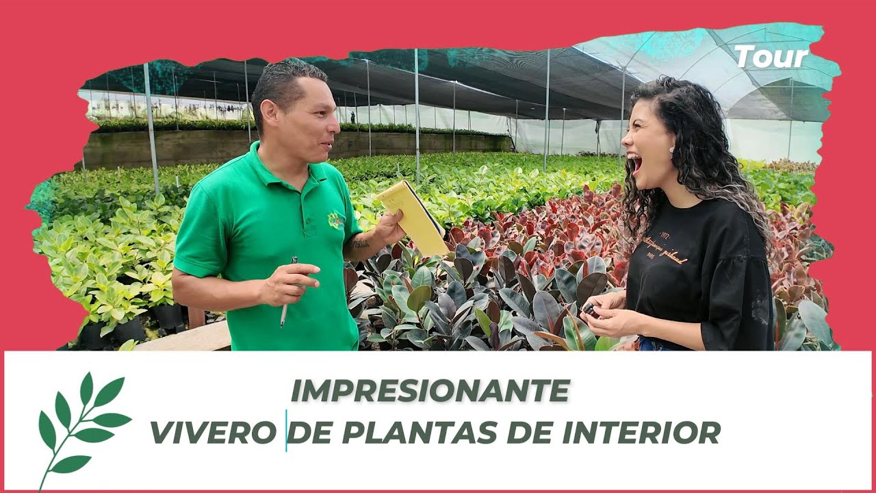 🤯😨MAS DE 30.000 PLANTAS EN UN MISMO LUGAR Y SUS CUIDADOS 😲👩‍🌾