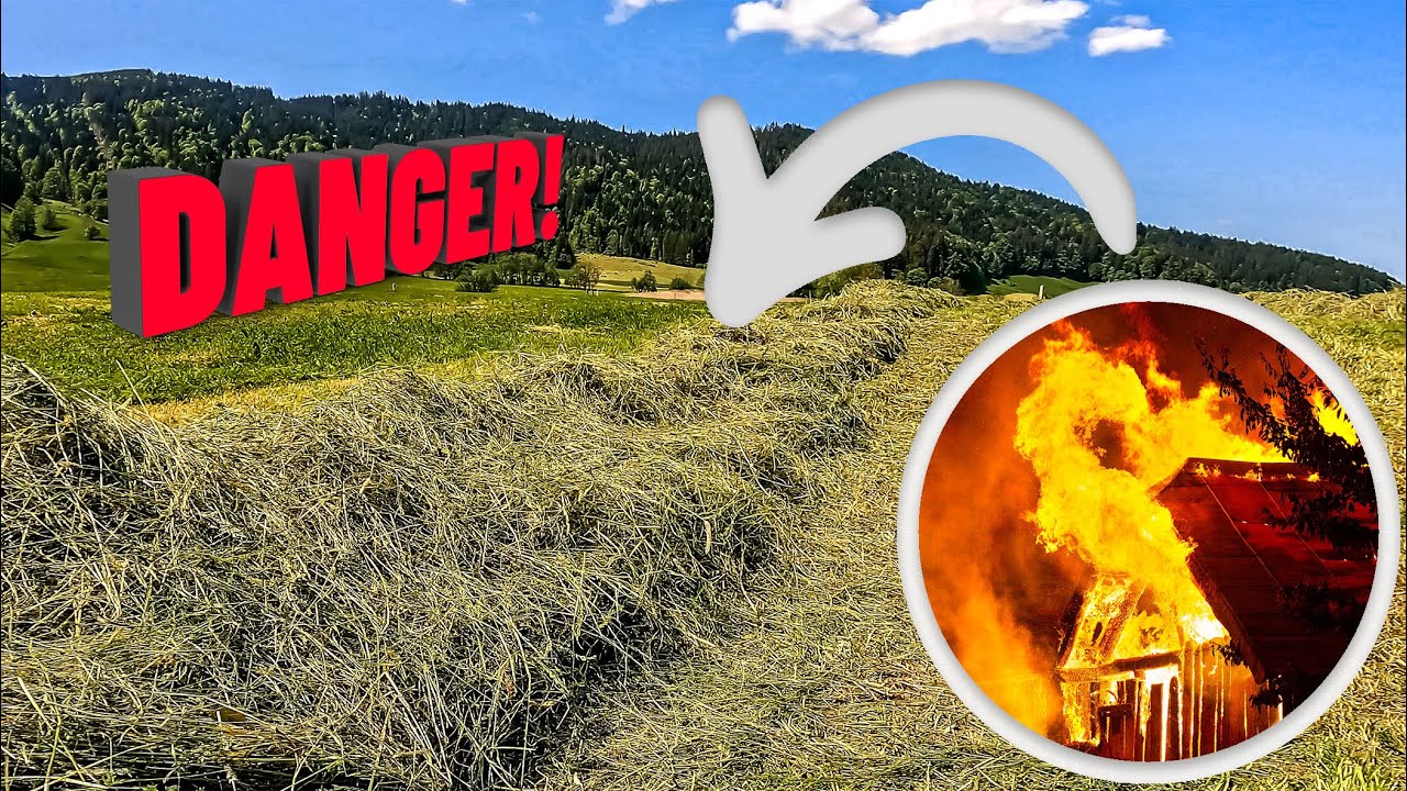 This can be a farmer's worst nightmare. (Farming The Alps #12)