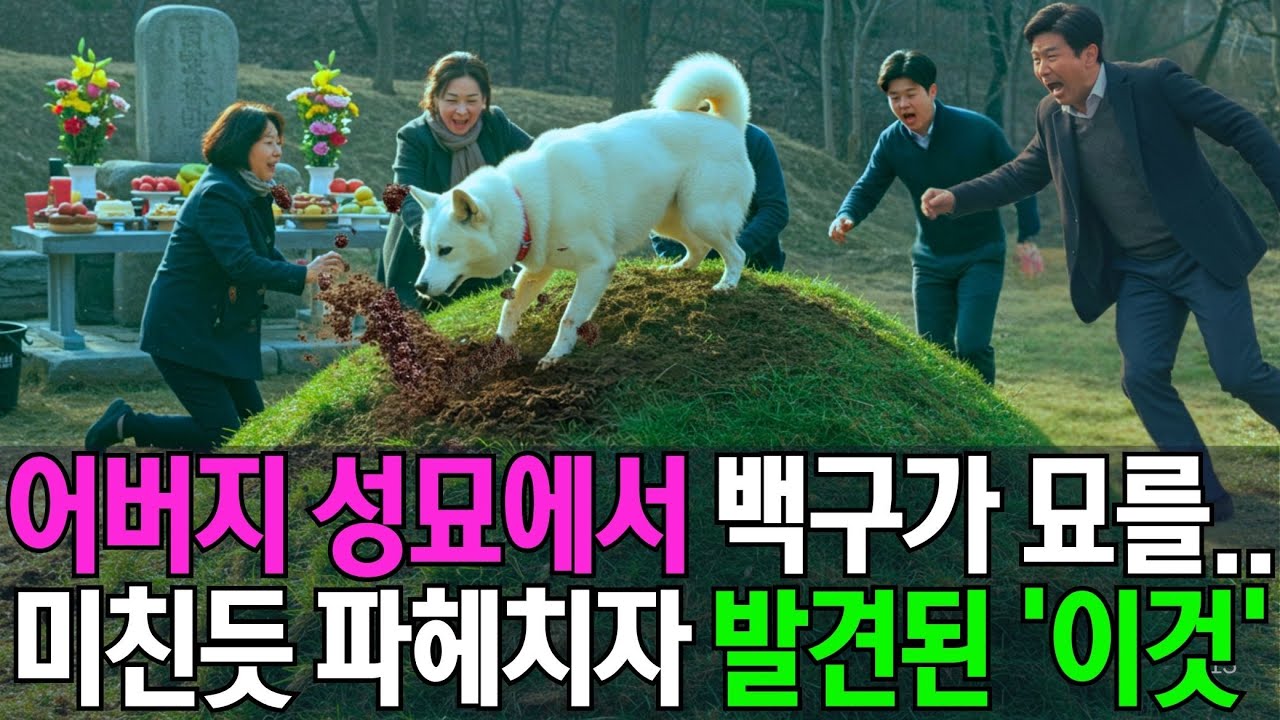 진돗개가 파헤친 아버지 묘에서 발견된 '이것'..아무도 상상못한 충격적 진실