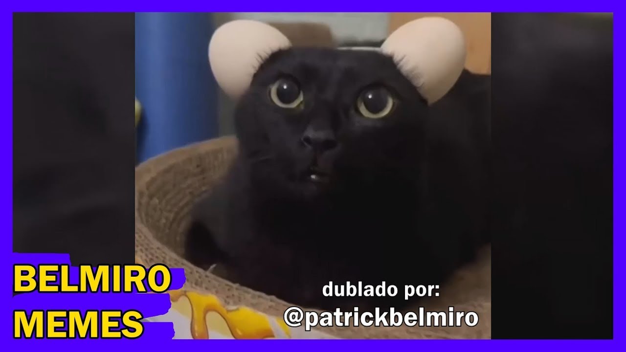 Belmiro Memes: Melhores dublagens engraçadas da semana 99