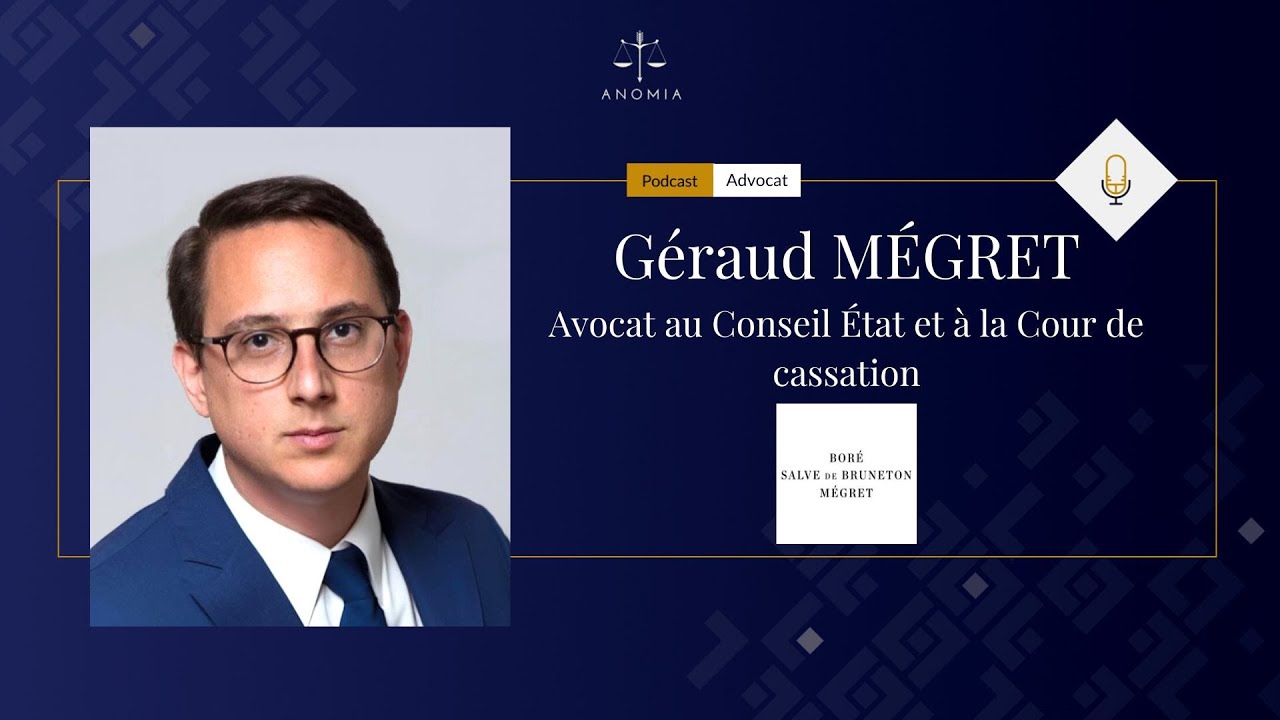 Géraud Mégret, Avocat au Conseil État et à la Cour de cassation