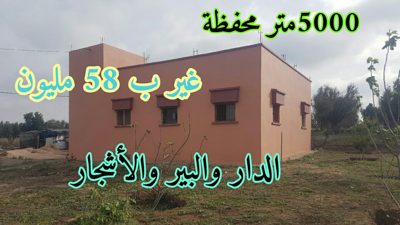 دار🏡للبيع مع الأرض 5000متر محفظة فيها البير جاهز والكهرباء والأشجار بنواحي اولاد حمدان إق الجديدة