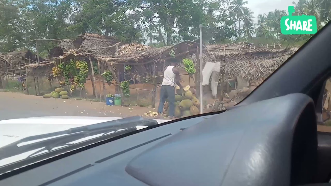 Tanzania Tanga to muheza beautiful country