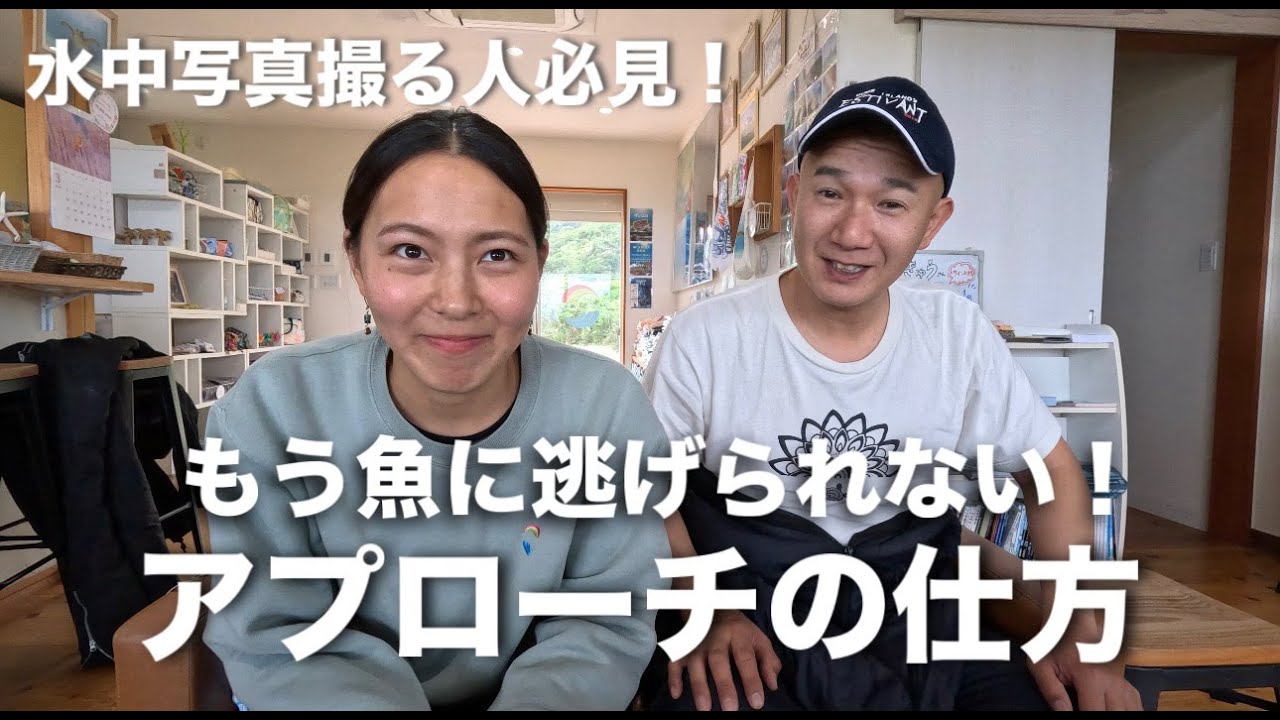 【水中写真】水中写真撮る方必見！もう逃げられない！魚へのアプローチの仕方