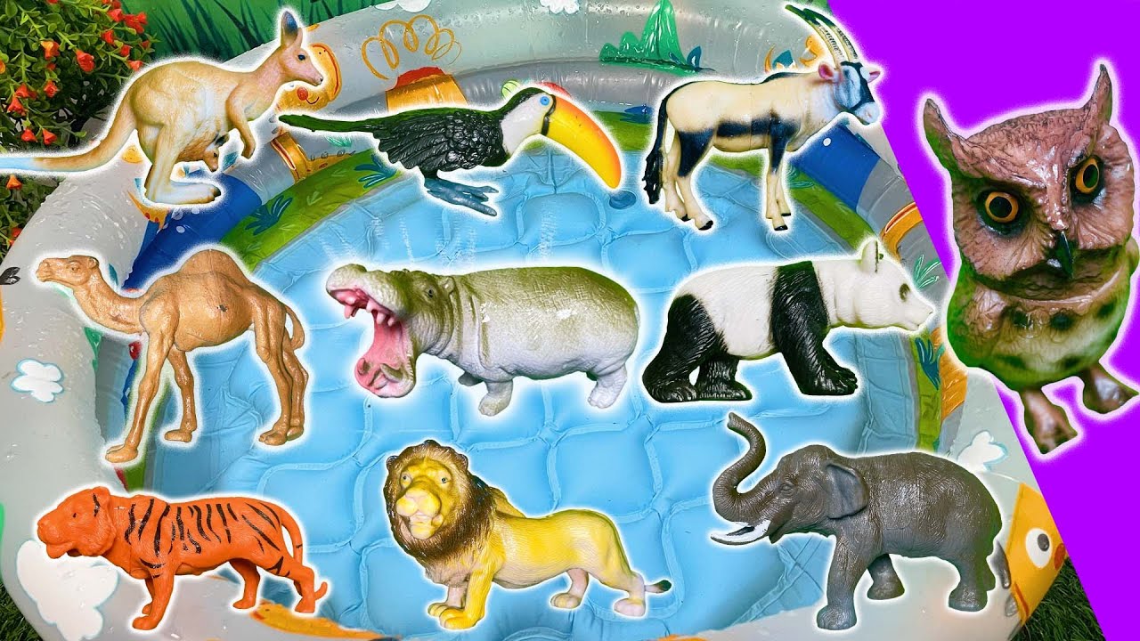 Learn Animal Names for Kids! | Fox, Giraffe, Lion, Panda, Zebra & More Fun Animals!