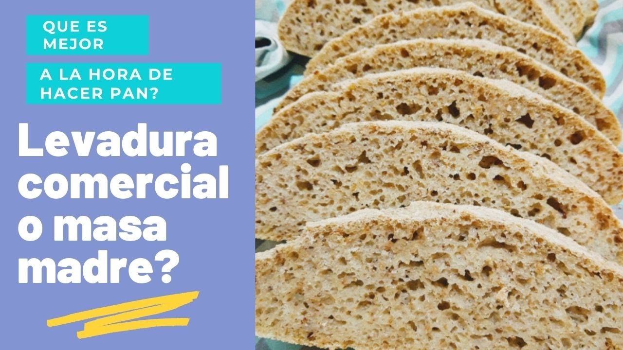 Levadura comercial vs MASA MADRE? Esa es la cuestión!