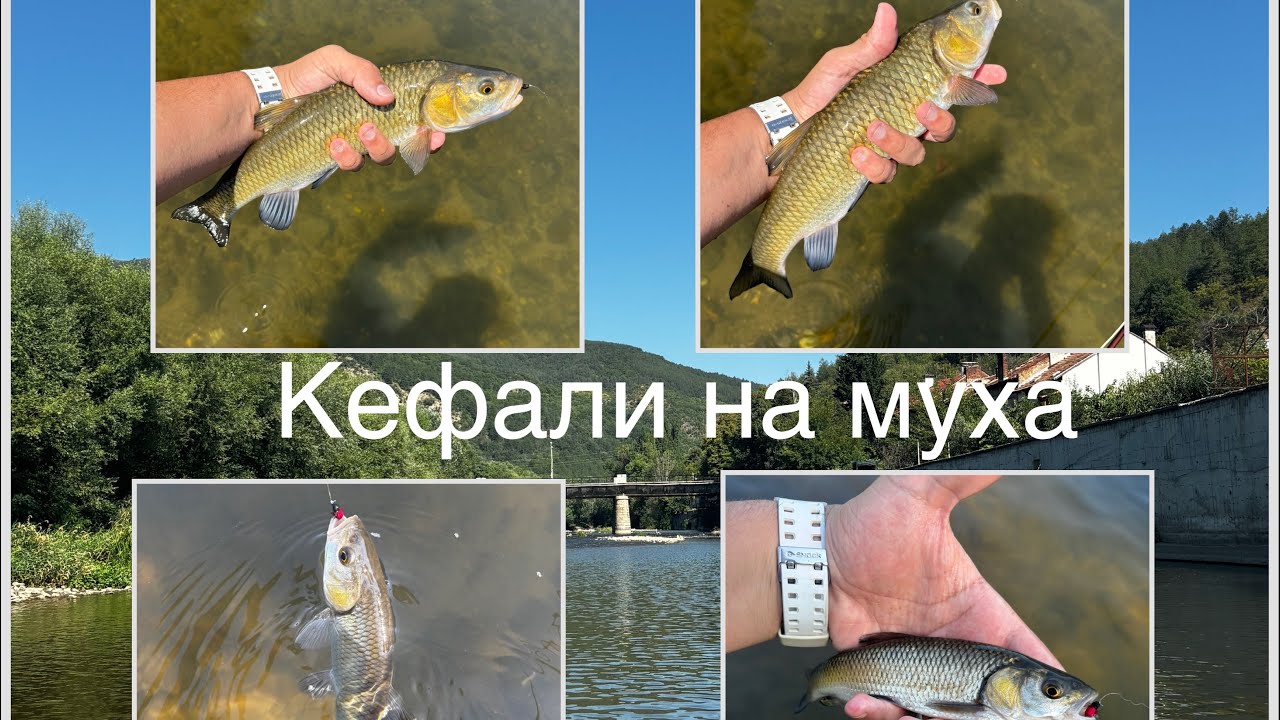 РИБОЛОВ с МУХА на река СТРУМА в Бобошево!