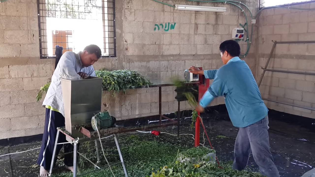 Plucking Machine