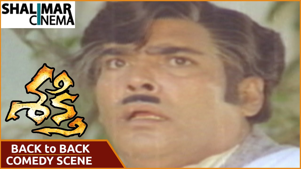 Shakti Movie || Rao Gopal Rao & Allu Rama Lingaiah Back to Back Comedy Scenes || Krishna, Jayasudha,