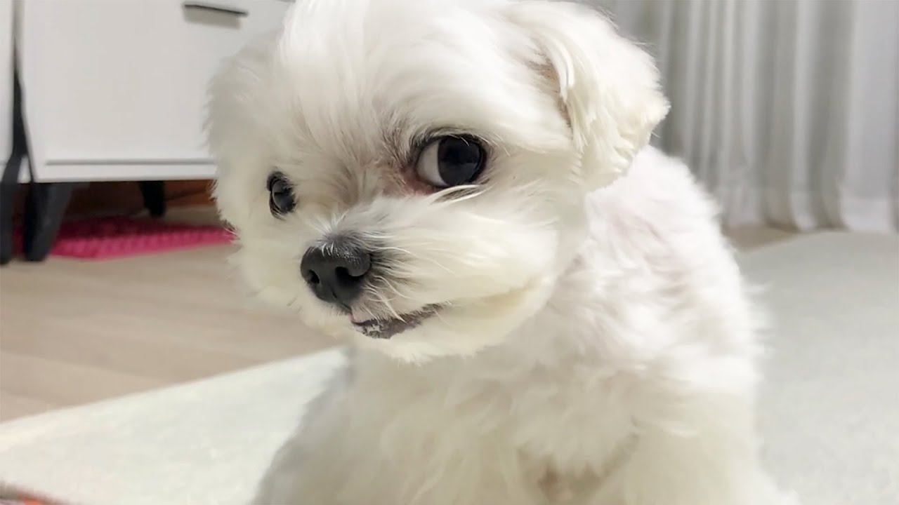 아 놀리고싶어ㅋㅋ