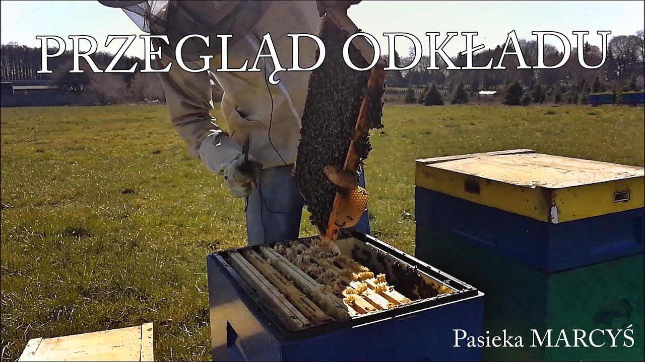 Przegląd odkładu z Krainką Alpejką.