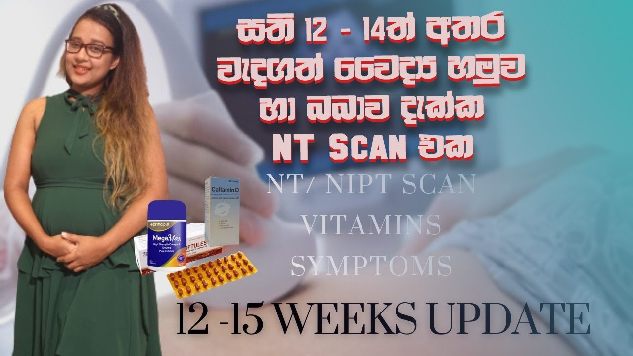 12 - 15 Weeks Update & Doctor Visit | NT Scan | Prenatal Vitamins | My Pregnancy Journey