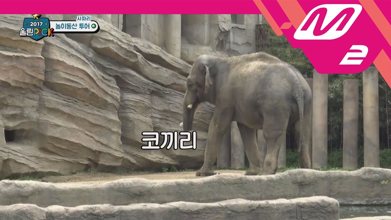 [2017 WoollimPICK] How can you give us speed quiz right after Safari tour? EP.5