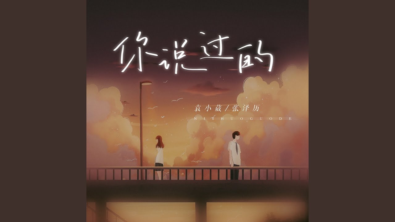 你说过的