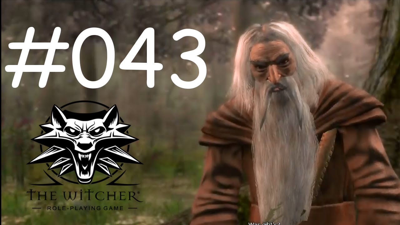 Lets Play The Witcher part 43 - Yeavinn ist weg... (german)