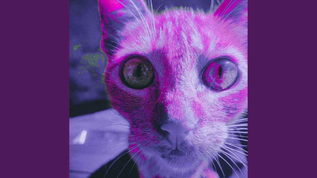 Okupa