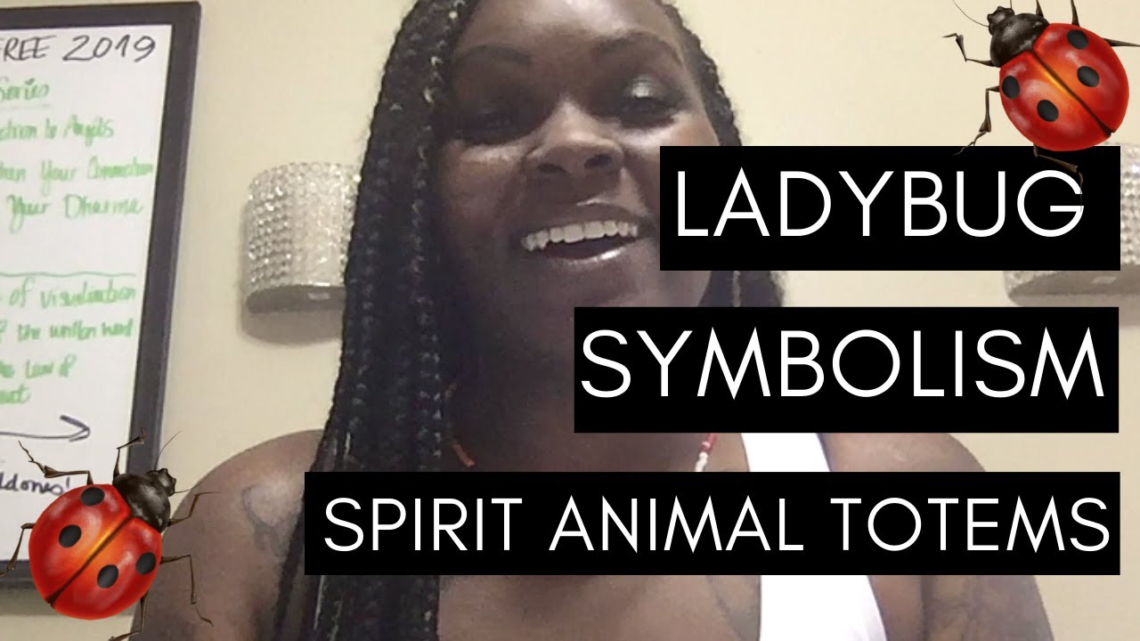 Ladybug Symbolism:: Spirit Animal Totems