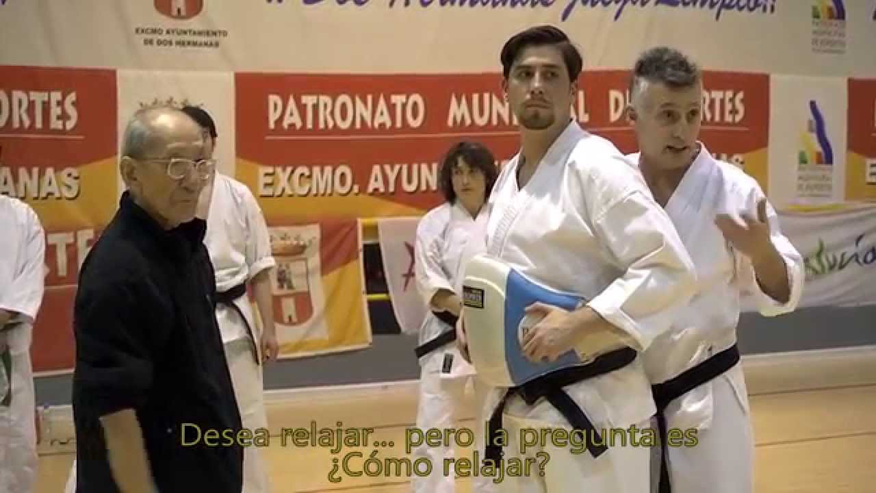 DOCUMENTAL  DE AIKIDO Y KARATE DO