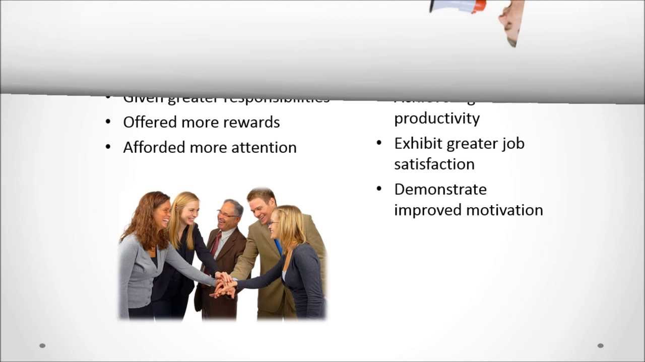 Group 6:  Leader Member Exchange Theory