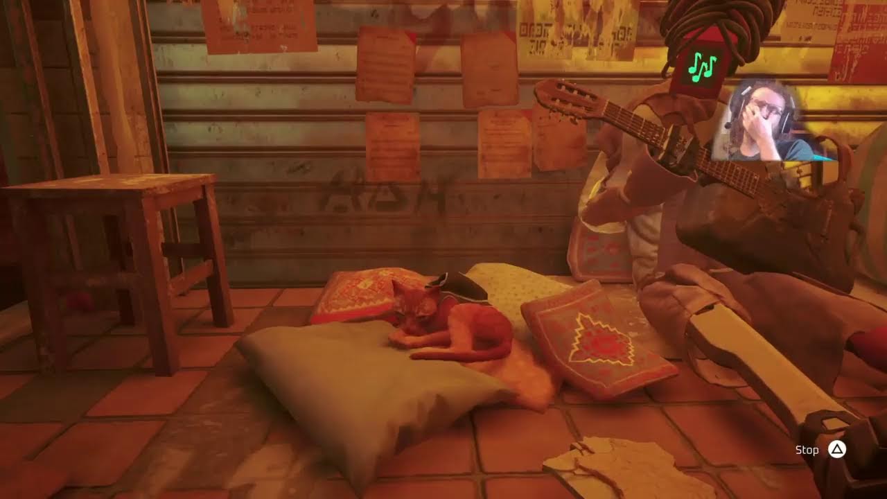 Cat strats: Stray